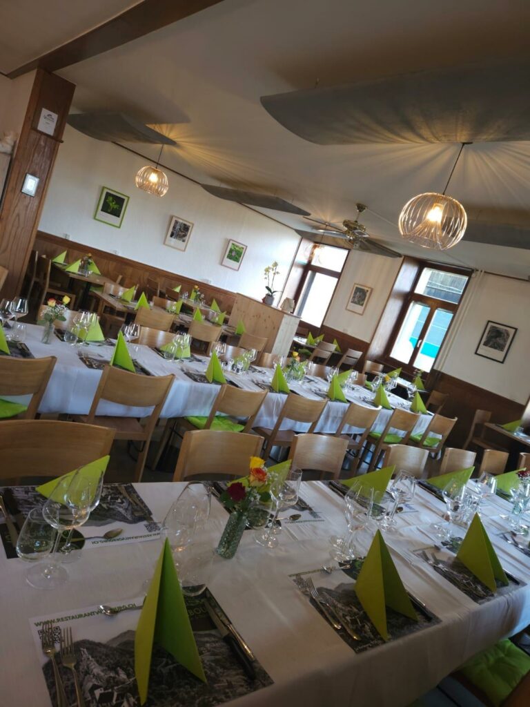 WhatsApp Image 2025-12-12 at 15.12.05