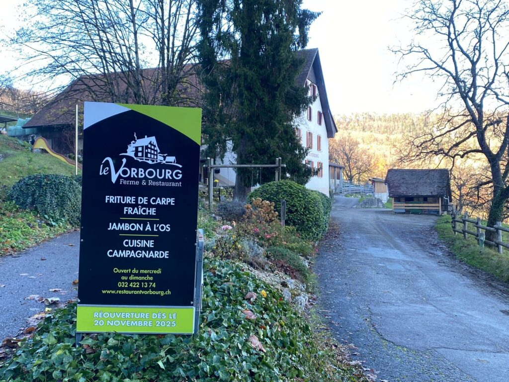 WhatsApp Image 2025-12-12 at 15.14.02